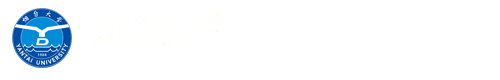040-成年人电影
